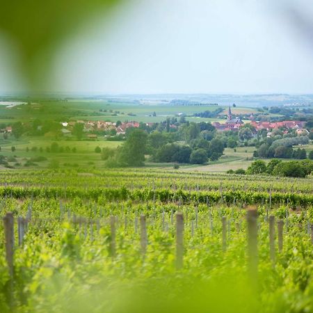 Weingut Schilling 호텔 Seinsheim 외부 사진